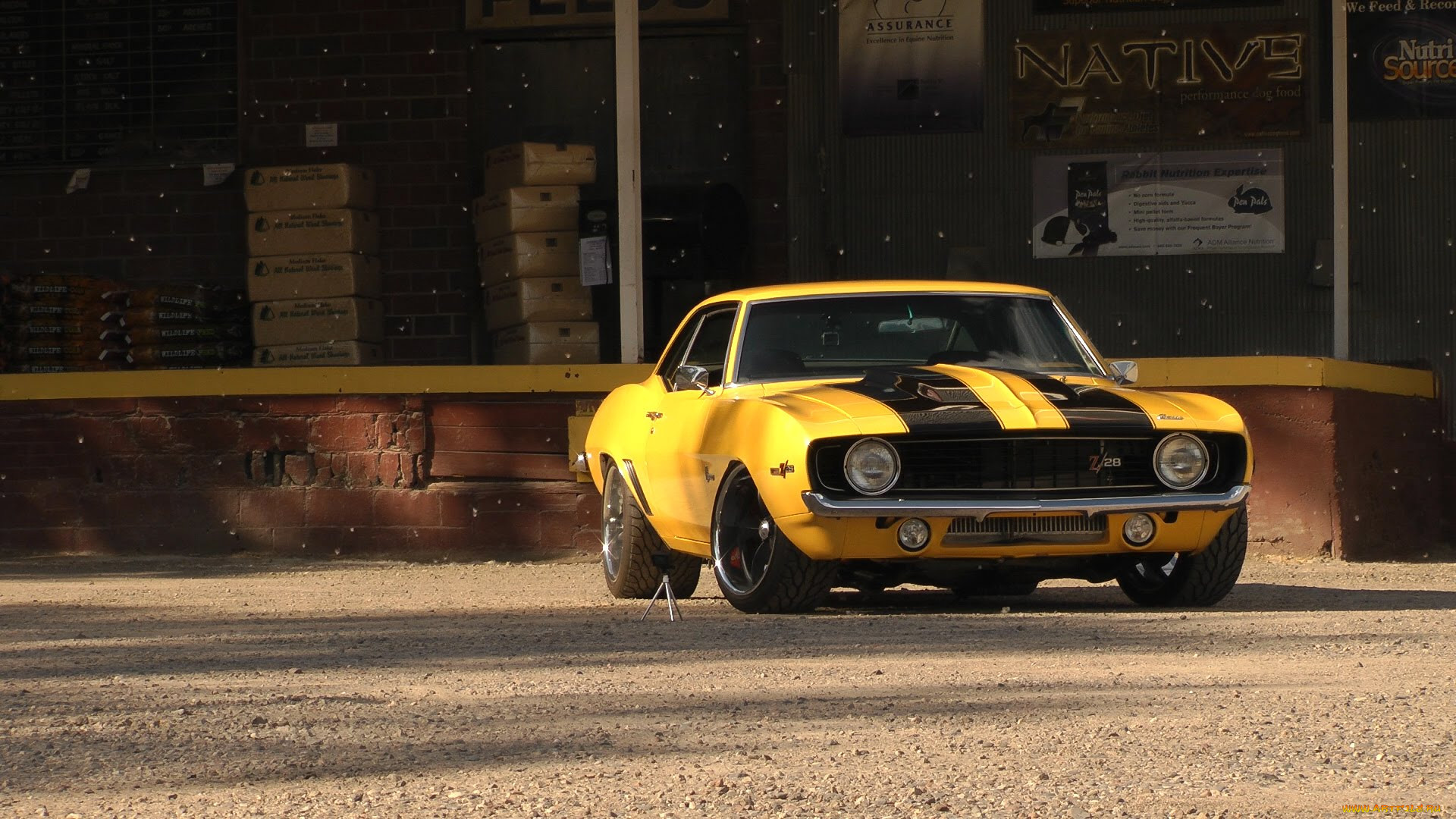 , camaro, yellow